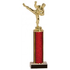 MA08 Martial Arts Trophy